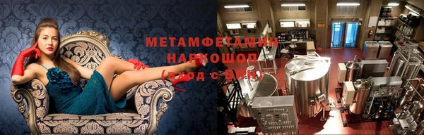 PSILOCYBIN Балабаново