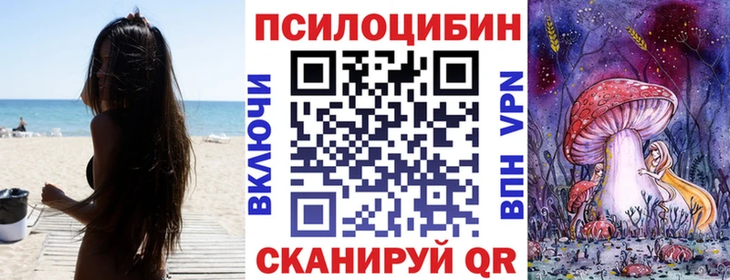 где купить наркоту Котельниково Псилоцибиновые грибы Psilocybine cubensis