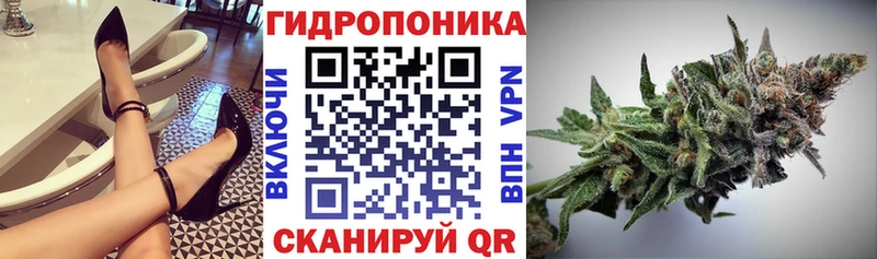 продажа наркотиков  Котельниково  Бошки Шишки планчик 